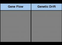 The T-chart by categorizing each statement as something that would most likely be relevant to gene f