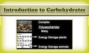 There are four major biological macromolecules:  carbohydrates, lipids, proteins, and nucleic acids.