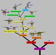 Consider the phylogenetic tree. which two organisms are most closely related, based on the tree abov