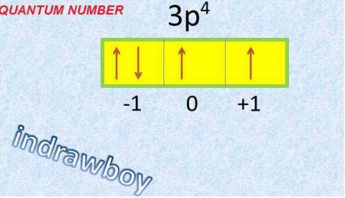 Select the correct location on the image the orbital diagram shows the valence electrons of sulfur,