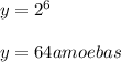 y= 2^6\\\\y= 64 amoebas