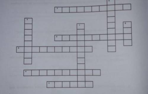 Activity 7: Crossword Puzzle

Directions Complete the crossword by filling in the word that describe