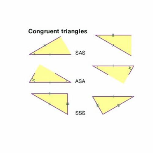 Which are necessary conditions to apply the SAS Triangle Congruence Theorem? Select all that apply.