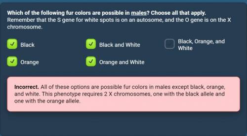 Which of the following fur colors are possible males? Choose all that apply Remember that the gene f