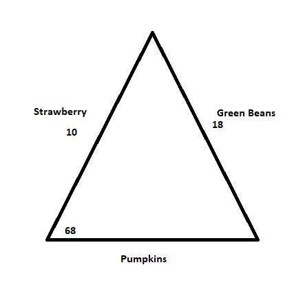 Three lines of crops in a garden form a triangular shape. Strawberries are planted in a 10 ft line a