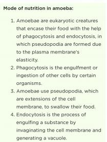 An amoeba is cell or organism with only one cell that can change its shape by using its finger-like 