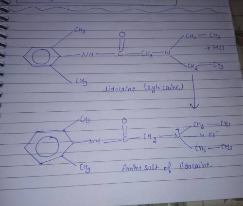 Draw The Condensed Structural Formula For The Ammonium Salt Formed When Lidocaine Reacts With Hcl 9449