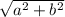 \sqrt{a^{2} + b^{2} }