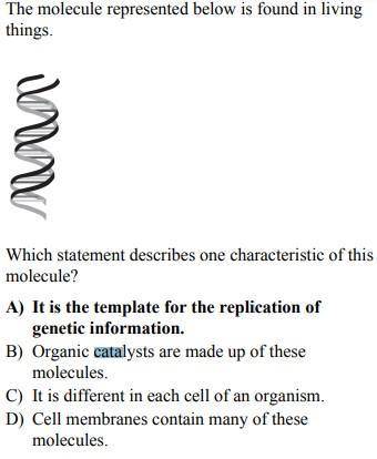 The molecule represented below is found in living things.

Which statement describes one characteris