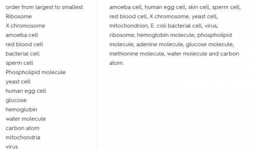 
Put the following in order from largest (1) to smallest(4) X chromosome mitochondrion ribosome carb