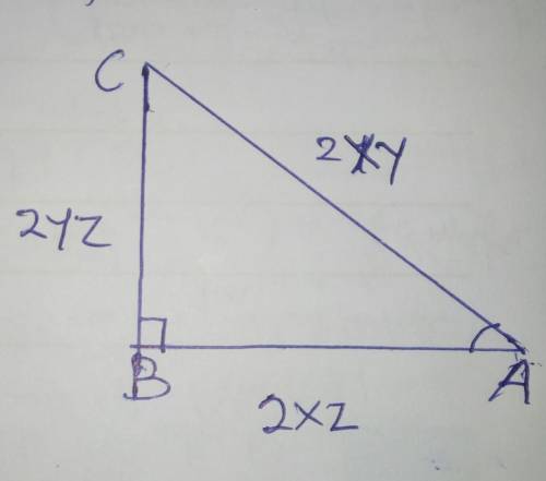 PLEASE HELP ! Triangle XYZ was dilated by a scale factor of 2 to create triangle ACB and sin X=5/5.5