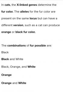 The all fur colour is correct answer and possible in females.Explaination: