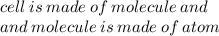 cell \: is \: made \: of \:molecule\: and  \\ \: and \: molecule \: is \: made \: of \: atom