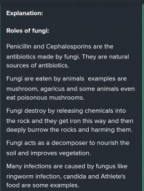 Fungi are a food source for animals and humans. Fungi produce oxygen to breathe. Fungi destroy rocks