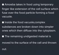 The surface area of amoeba shown: