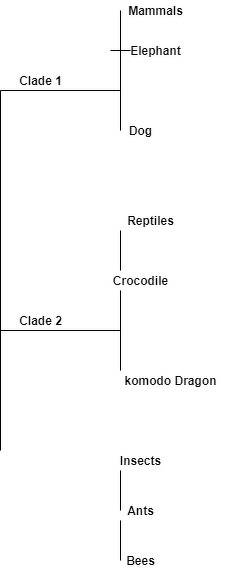 To determine the clades for the provided creatures and create cladograms, we need to analyze their e