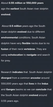 About 0.55 million or 550,000 years ago the earliest South Asian river dolphin evolved. About 0.5 mi