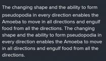 The surface area of amoeba shown: