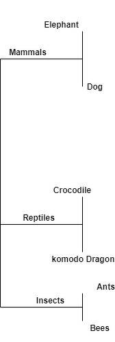 To determine the clades for the provided creatures and create cladograms, we need to analyze their e
